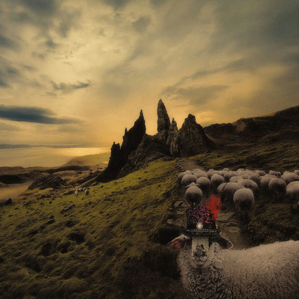 FRANCK CARDUCCI - Sheeple (CD Digipack)
